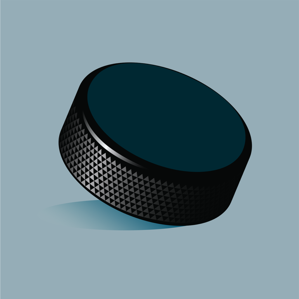 Une rondelle de hockey qui représente mon site web