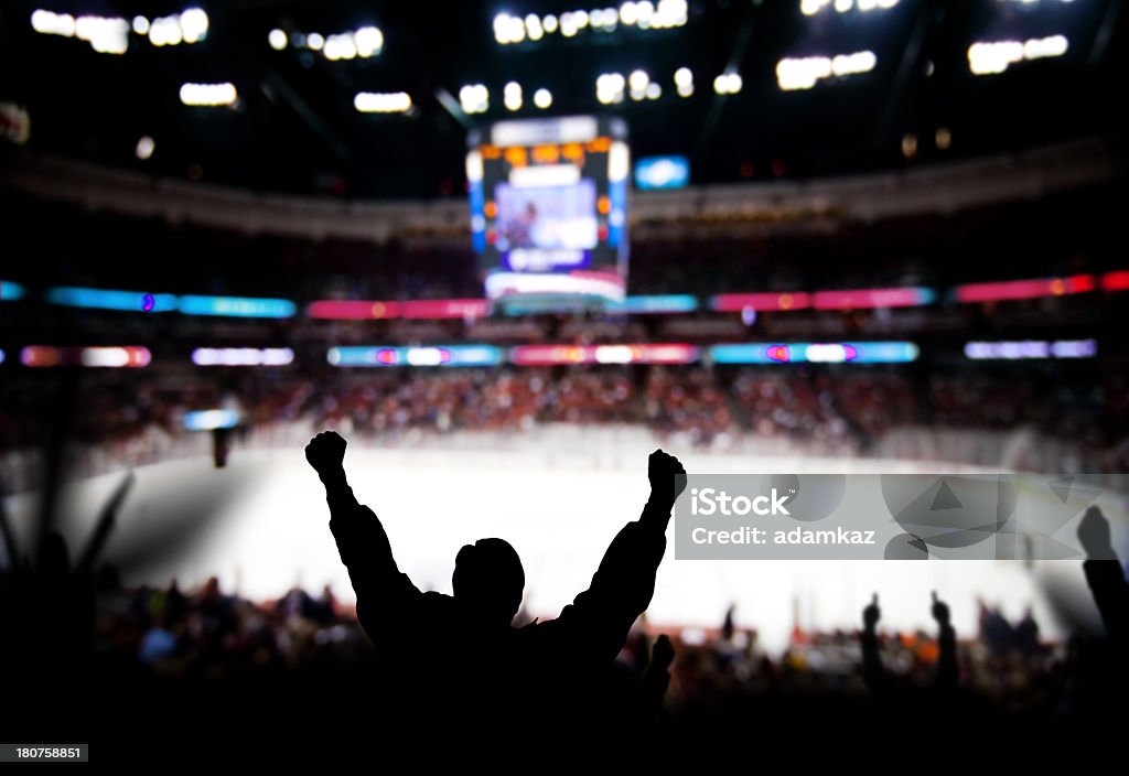 Des fans qui célèbre à une partie de hockey